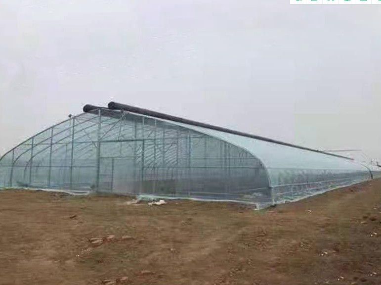 羅湖橢圓管大棚