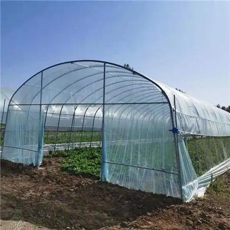 新樂橢圓管大棚
